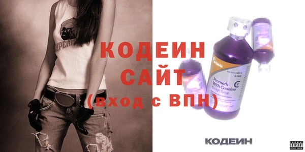 индика Воткинск