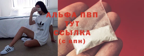 индика Воткинск