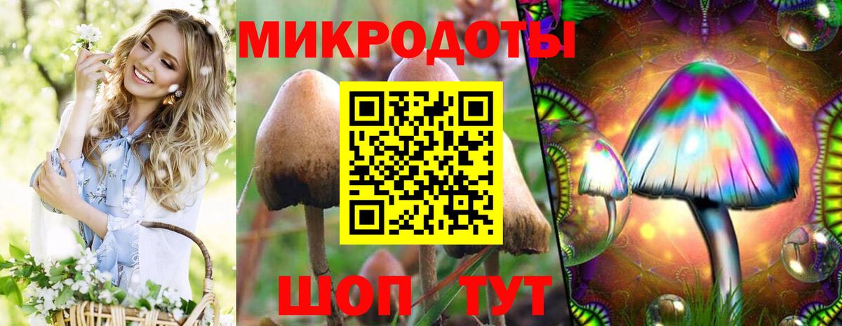Псилоцибиновые грибы прущие грибы  Вход с VPN  Псилоцибиновые грибы мухоморы  Слободской 