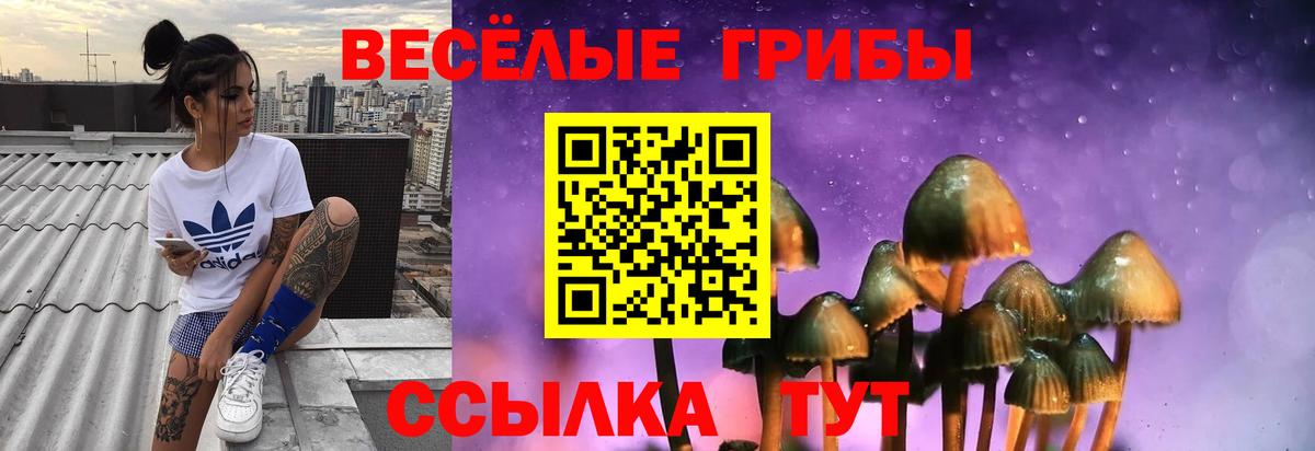 Псилоцибиновые грибы мицелий Слободской